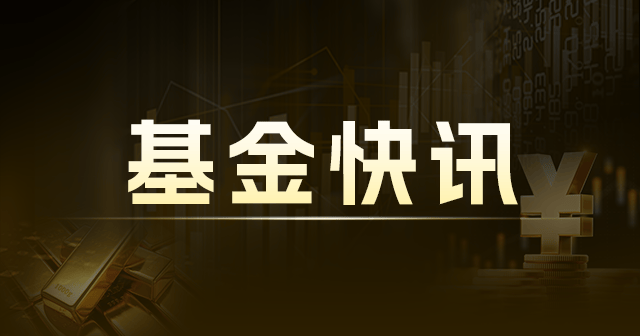 中基协报告：股票型基金受青睐，65.6%个人投资者选择