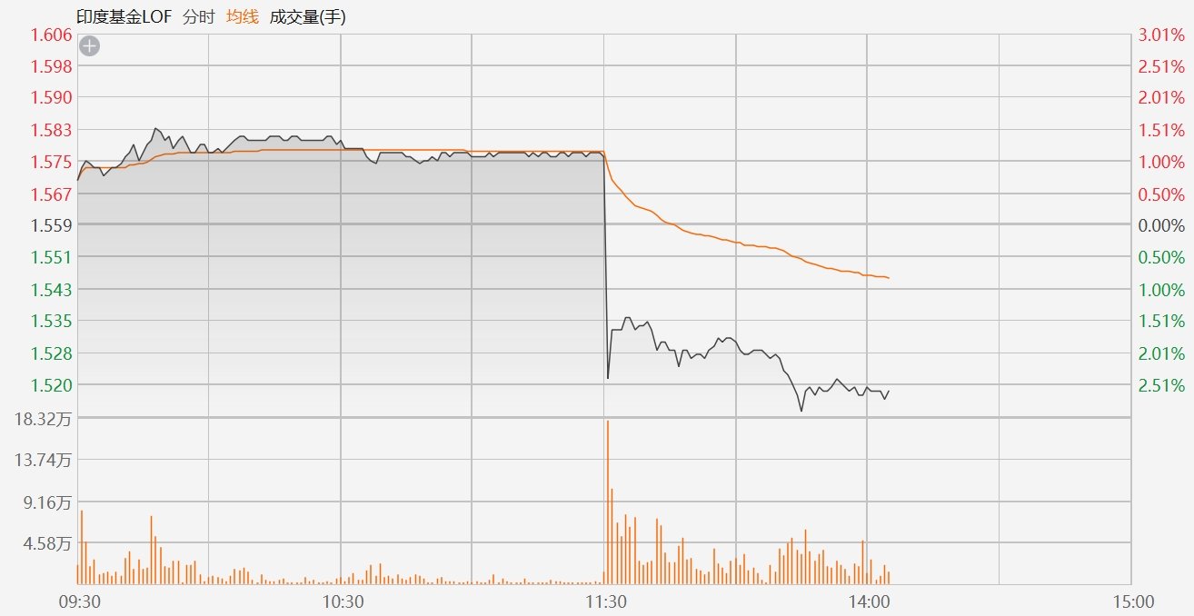 印度基金LOF跳水跌3%